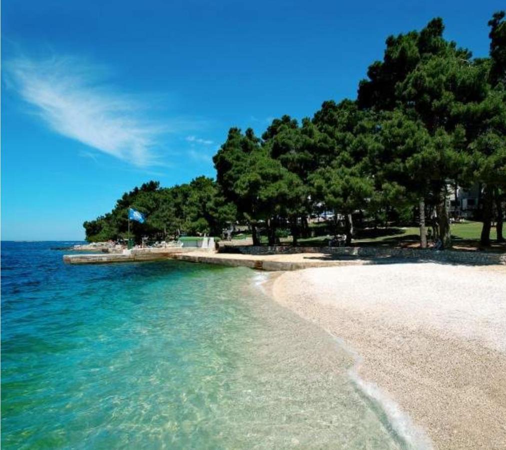 Appartamento New!!! New Riva Luxury One - With Sunny Terrace & Big Garden Porec Esterno foto